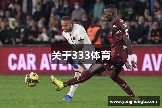 关于333体育